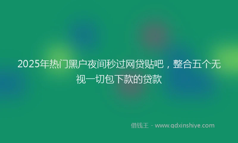 2025年热门黑户夜间秒过网贷贴吧，整合五个无视一切包下款的贷款