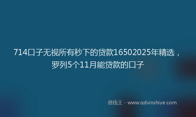 714口子无视所有秒下的贷款16502025年精选，罗列5个11月能贷款的口子
