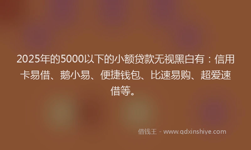 2025年的5000以下的小额贷款无视黑白有：信用卡易借、鹅小易、便捷钱包、比速易购、超爱速借等。