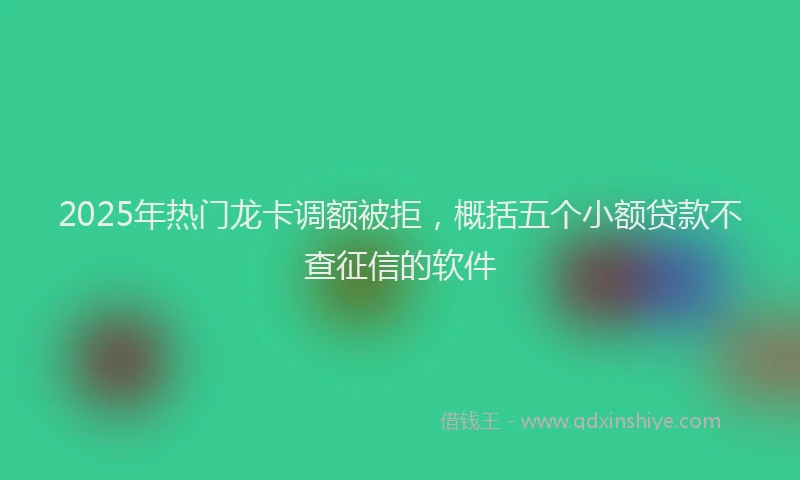 2025年热门龙卡调额被拒，概括五个小额贷款不查征信的软件