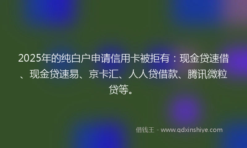 2025年的纯白户申请信用卡被拒有：现金贷速借、现金贷速易、京卡汇、人人贷借款、腾讯微粒贷等。