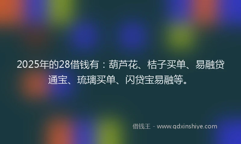 2025年的28借钱有：葫芦花、桔子买单、易融贷通宝、琉璃买单、闪贷宝易融等。
