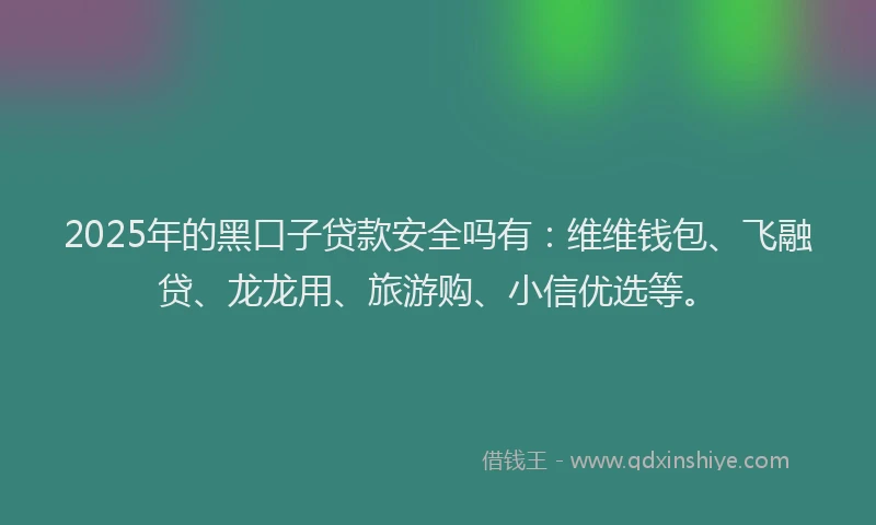 2025年的黑口子贷款安全吗有：维维钱包、飞融贷、龙龙用、旅游购、小信优选等。