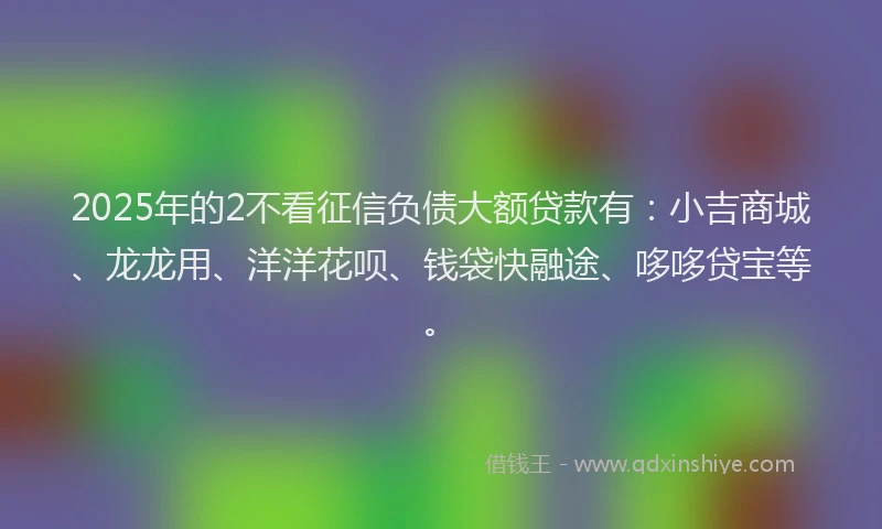 2025年的2不看征信负债大额贷款有：小吉商城、龙龙用、洋洋花呗、钱袋快融途、哆哆贷宝等。