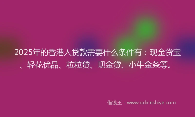 2025年的香港人贷款需要什么条件有：现金贷宝、轻花优品、粒粒贷、现金贷、小牛金条等。