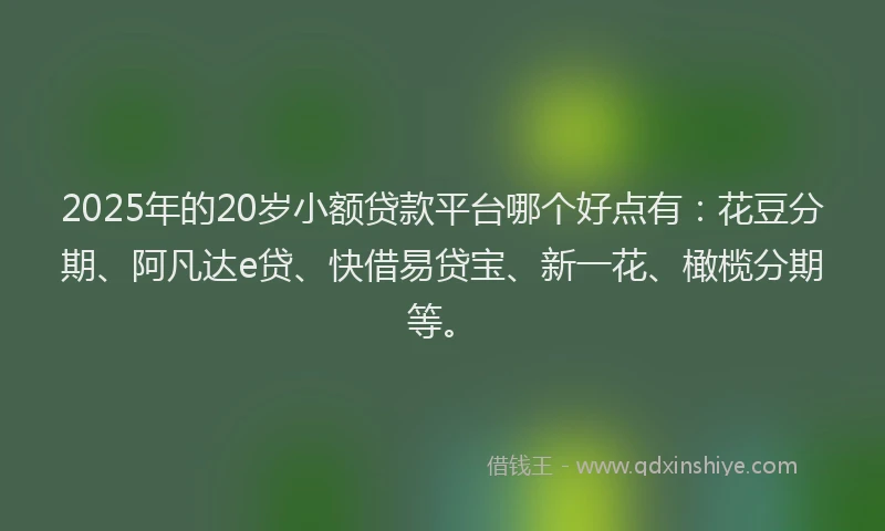2025年的20岁小额贷款平台哪个好点有：花豆分期、阿凡达e贷、快借易贷宝、新一花、橄榄分期等。
