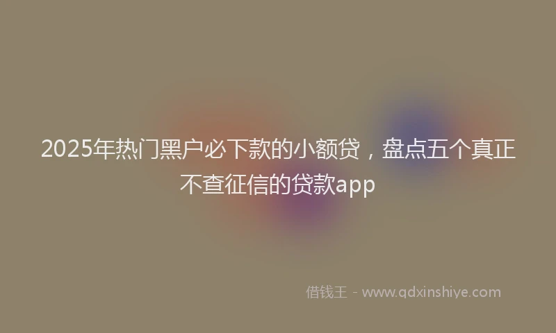 2025年热门黑户必下款的小额贷,盘点五个真正不查征信的贷款app