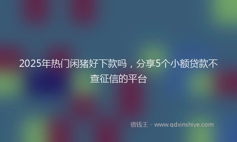 2025年热门闲猪好下款吗，分享5个小额贷款不查征信的平台