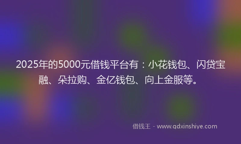 2025年的5000元借钱平台有：小花钱包、闪贷宝融、朵拉购、金亿钱包、向上金服等。