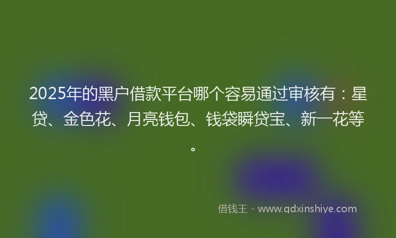 2025年的黑户借款平台哪个容易通过审核有：星贷、金色花、月亮钱包、钱袋瞬贷宝、新一花等。