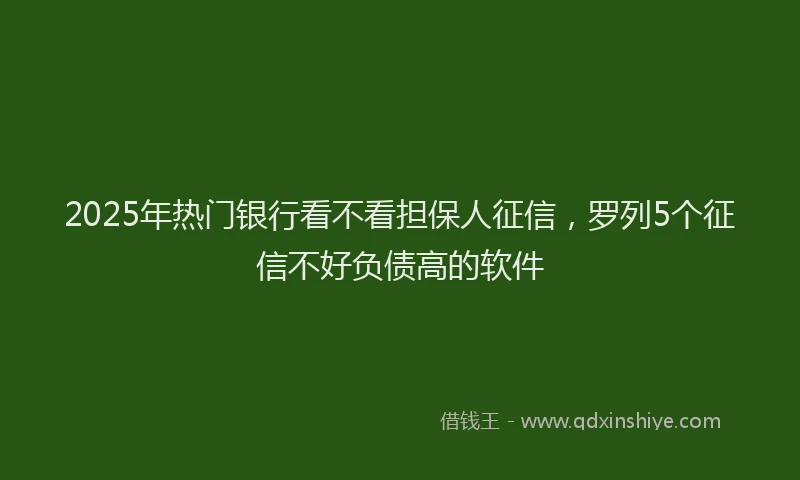 2025年热门银行看不看担保人征信，罗列5个征信不好负债高的软件