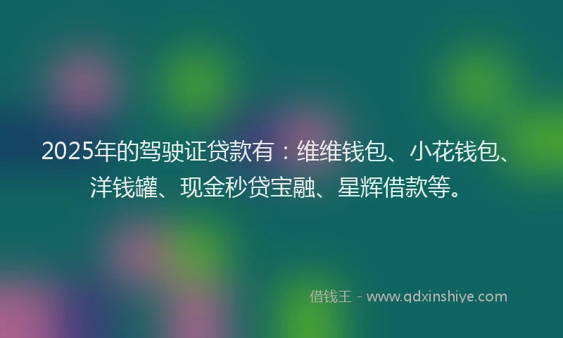 2025年的驾驶证贷款有：维维钱包、小花钱包、洋钱罐、现金秒贷宝融、星辉借款等。