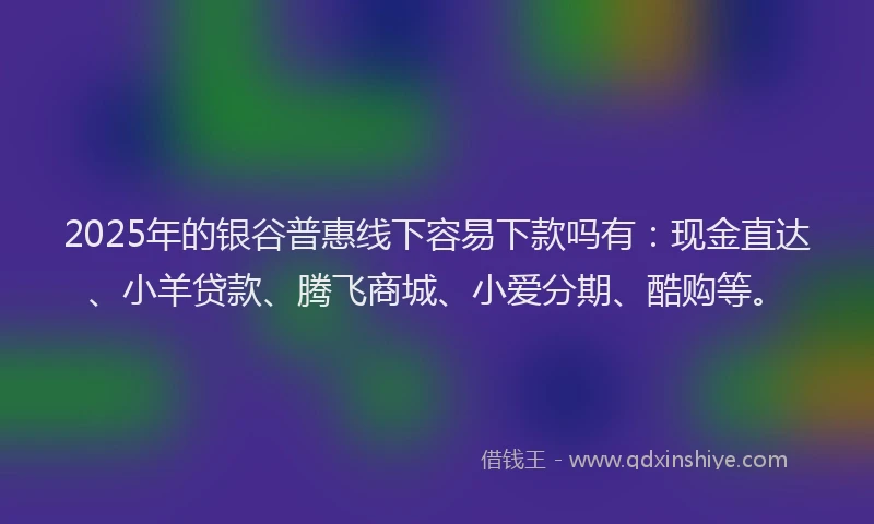 2025年的银谷普惠线下容易下款吗有:现金直达、小羊贷款、腾飞商城、小爱分期、酷购等。