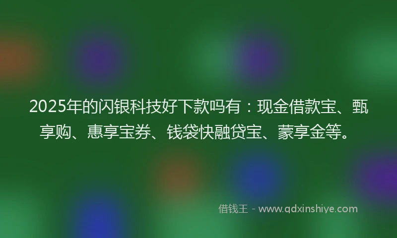 2025年的闪银科技好下款吗有：现金借款宝、甄享购、惠享宝券、钱袋快融贷宝、蒙享金等。