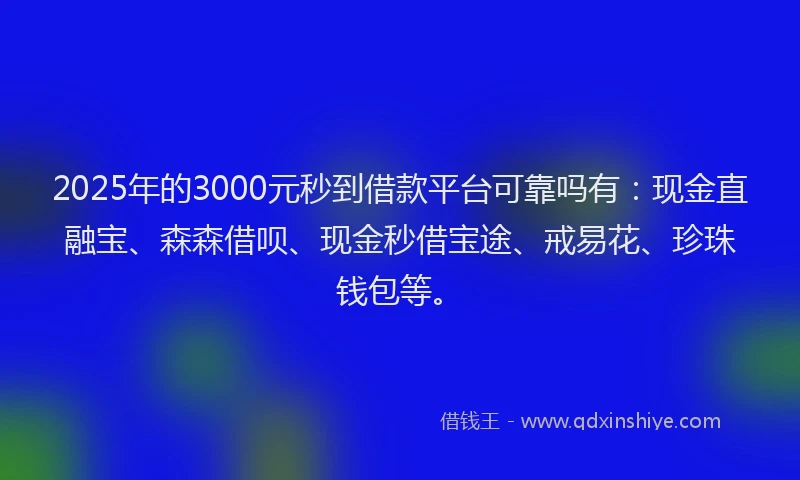 2025年的3000元秒到借款平台可靠吗有：现金直融宝、森森借呗、现金秒借宝途、戒易花、珍珠钱包等。