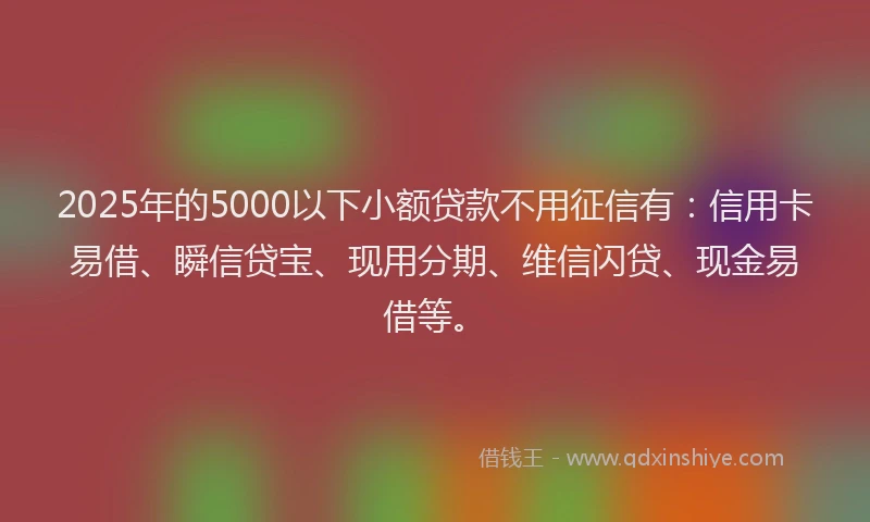 2025年的5000以下小额贷款不用征信有：信用卡易借、瞬信贷宝、现用分期、维信闪贷、现金易借等。