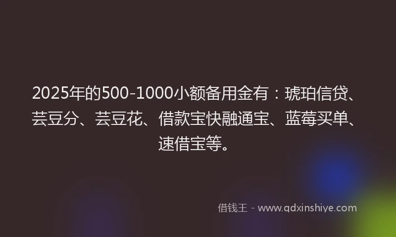 2025年的500-1000小额备用金有：琥珀信贷、芸豆分、芸豆花、借款宝快融通宝、蓝莓买单、速借宝等。