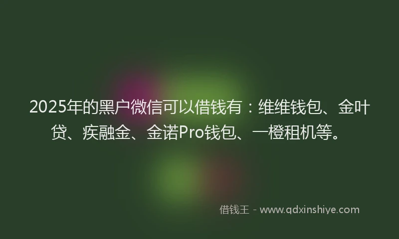 2025年的黑户微信可以借钱有:维维钱包、金叶贷、疾融金、金诺Pro钱包、一橙租机等。