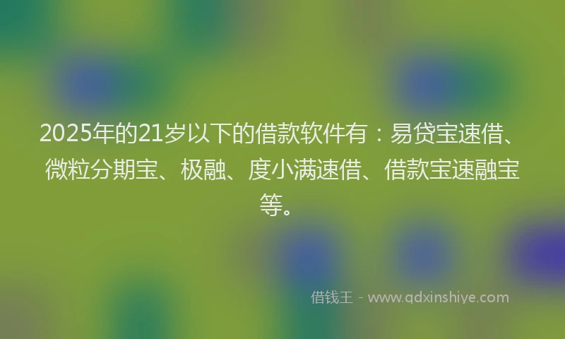 2025年的21岁以下的借款软件有：易贷宝速借、微粒分期宝、极融、度小满速借、借款宝速融宝等。