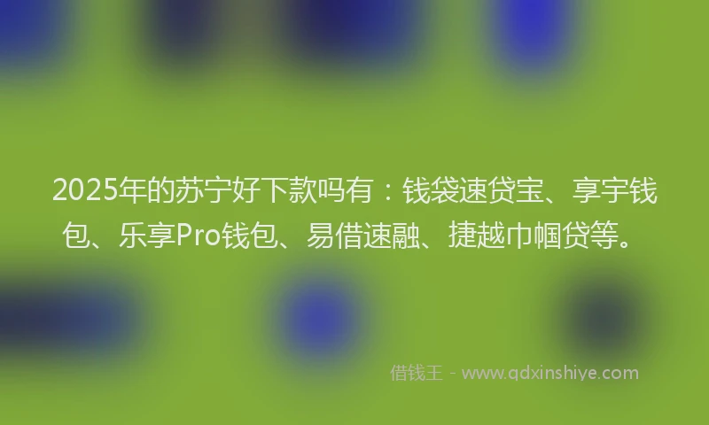 2025年的苏宁好下款吗有：钱袋速贷宝、享宇钱包、乐享Pro钱包、易借速融、捷越巾帼贷等。