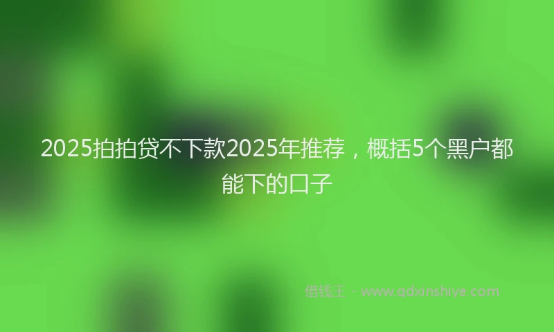 2025拍拍贷不下款2025年推荐，概括5个黑户都能下的口子