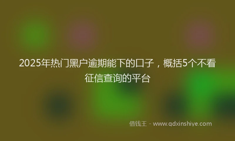 2025年热门黑户逾期能下的口子，概括5个不看征信查询的平台