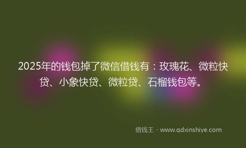 2025年的钱包掉了微信借钱有：玫瑰花、微粒快贷、小象快贷、微粒贷、石榴钱包等。