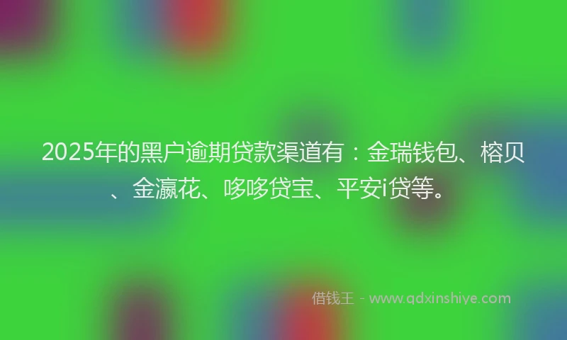 2025年的黑户逾期贷款渠道有：金瑞钱包、榕贝、金瀛花、哆哆贷宝、平安i贷等。