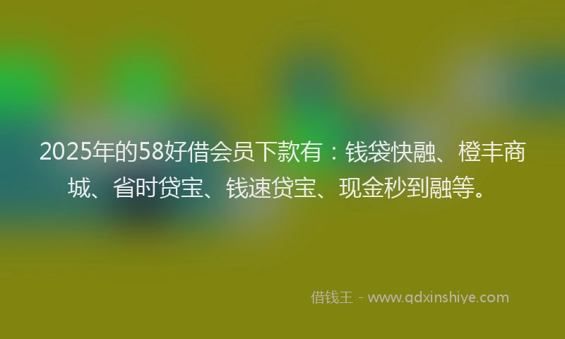 2025年的58好借会员下款有：钱袋快融、橙丰商城、省时贷宝、钱速贷宝、现金秒到融等。