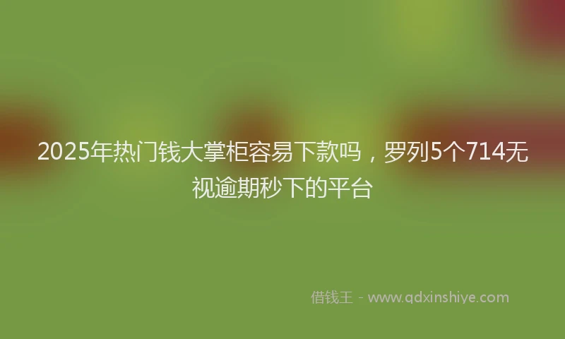 2025年热门钱大掌柜容易下款吗，罗列5个714无视逾期秒下的平台