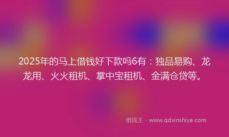 2025年的马上借钱好下款吗6有：独品易购、龙龙用、火火租机、掌中宝租机、金满仓贷等。
