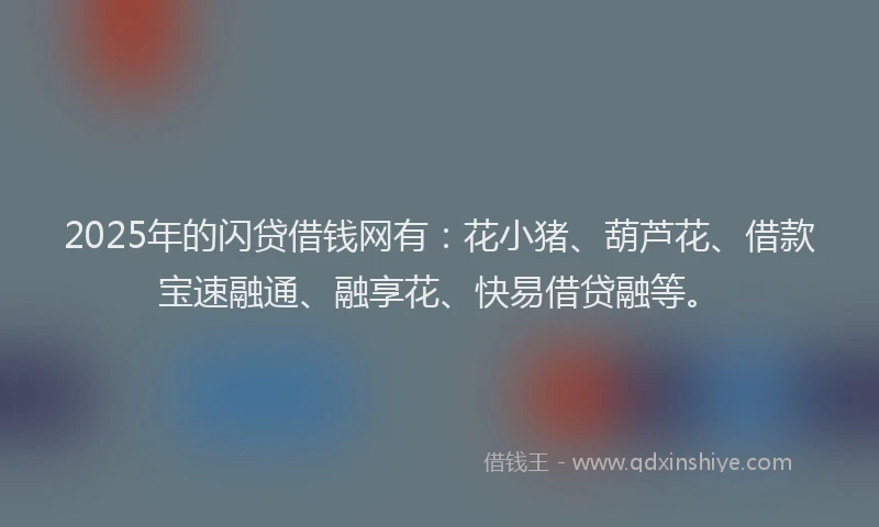 2025年的闪贷借钱网有：花小猪、葫芦花、借款宝速融通、融享花、快易借贷融等。