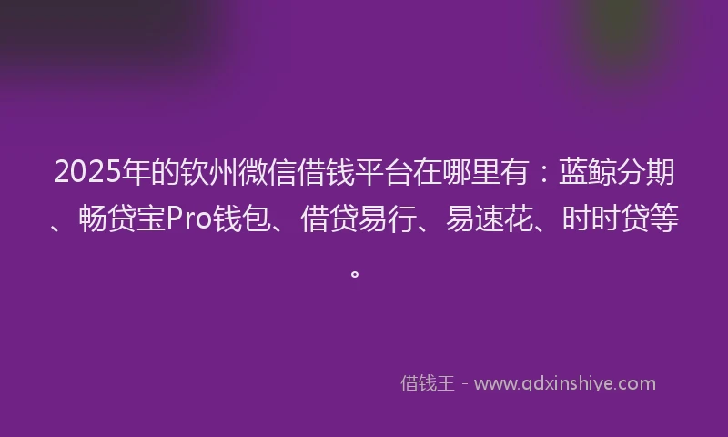 2025年的钦州微信借钱平台在哪里有：蓝鲸分期、畅贷宝Pro钱包、借贷易行、易速花、时时贷等。