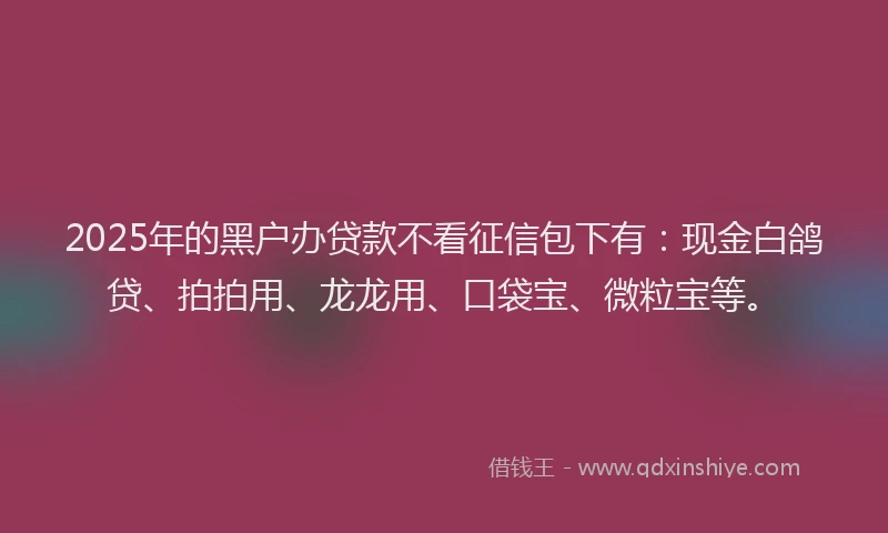 2025年的黑户办贷款不看征信包下有:现金白鸽贷、拍拍用、龙龙用、口袋宝、微粒宝等。