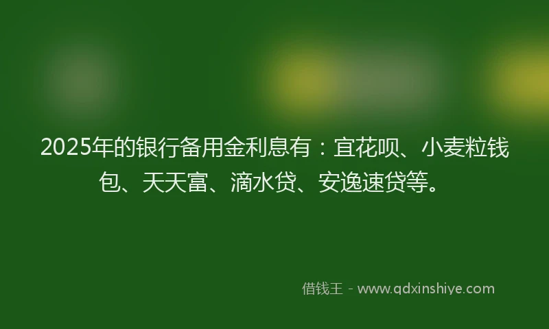 2025年的银行备用金利息有:宜花呗、小麦粒钱包、天天富、滴水贷、安逸速贷等。