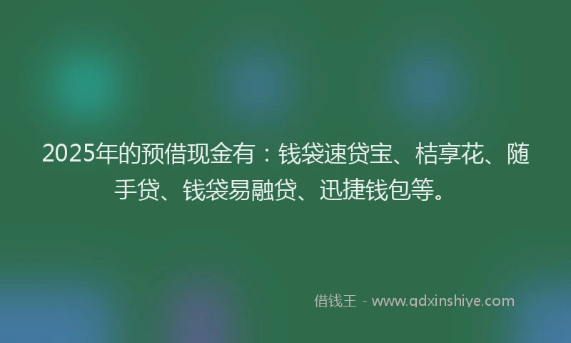 2025年的预借现金有：钱袋速贷宝、桔享花、随手贷、钱袋易融贷、迅捷钱包等。