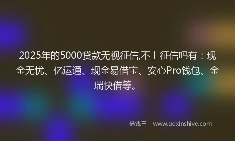 2025年的5000贷款无视征信,不上征信吗有：现金无忧、亿运通、现金易借宝、安心Pro钱包、金瑞快借等。