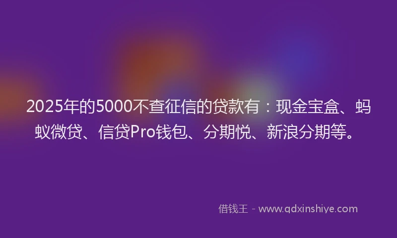 2025年的5000不查征信的贷款有：现金宝盒、蚂蚁微贷、信贷Pro钱包、分期悦、新浪分期等。