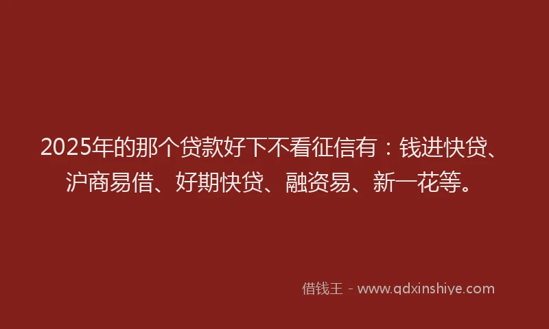 2025年的那个贷款好下不看征信有：钱进快贷、沪商易借、好期快贷、融资易、新一花等。