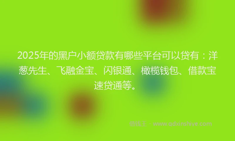 2025年的黑户小额贷款有哪些平台可以贷有：洋葱先生、飞融金宝、闪银通、橄榄钱包、借款宝速贷通等。