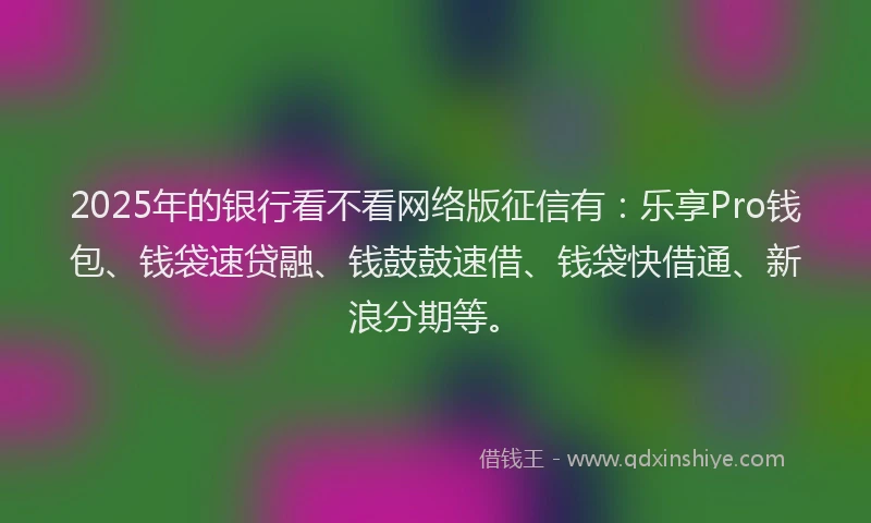 2025年的银行看不看网络版征信有：乐享Pro钱包、钱袋速贷融、钱鼓鼓速借、钱袋快借通、新浪分期等。