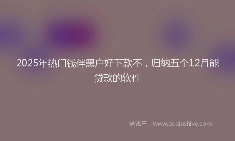 2025年热门钱伴黑户好下款不，归纳五个12月能贷款的软件