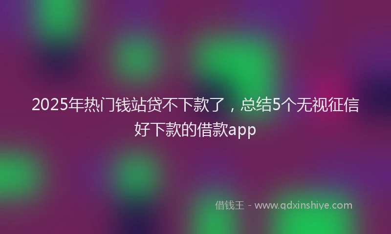 2025年热门钱站贷不下款了，总结5个无视征信好下款的借款app