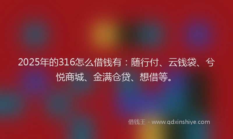 2025年的316怎么借钱有:随行付、云钱袋、兮悦商城、金满仓贷、想借等。