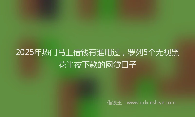 2025年热门马上借钱有谁用过，罗列5个无视黑花半夜下款的网贷口子