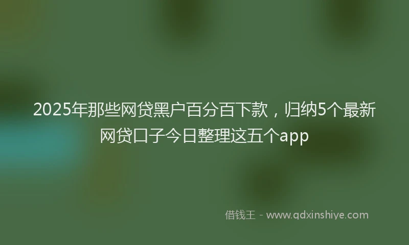 2025年那些网贷黑户百分百下款，归纳5个最新网贷口子今日整理这五个app