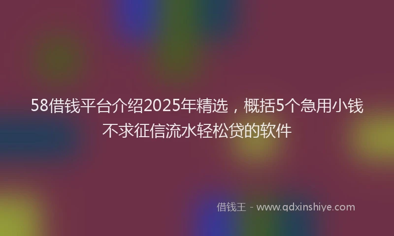 58借钱平台介绍2025年精选，概括5个急用小钱不求征信流水轻松贷的软件