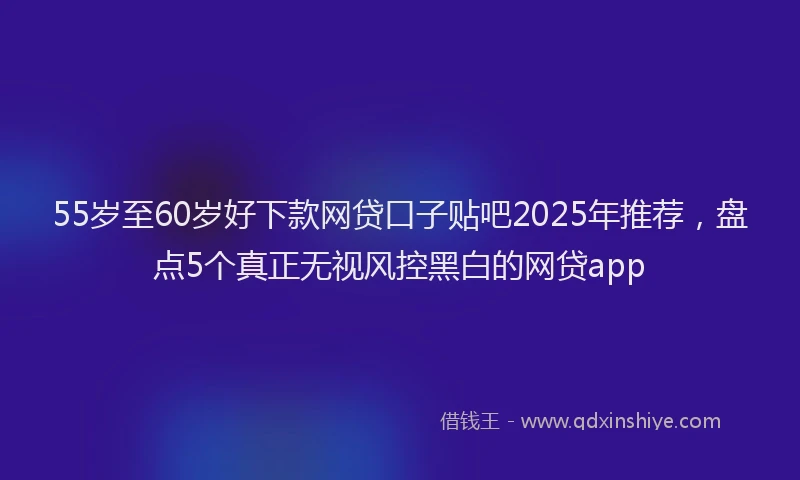 55岁至60岁好下款网贷口子贴吧2025年推荐，盘点5个真正无视风控黑白的网贷app