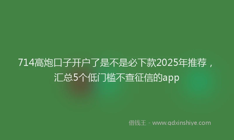 714高炮口子开户了是不是必下款2025年推荐，汇总5个低门槛不查征信的app