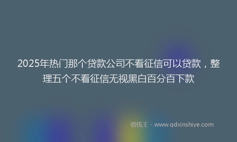 2025年热门那个贷款公司不看征信可以贷款，整理五个不看征信无视黑白百分百下款